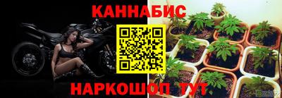 Альфа ПВП Коммунар