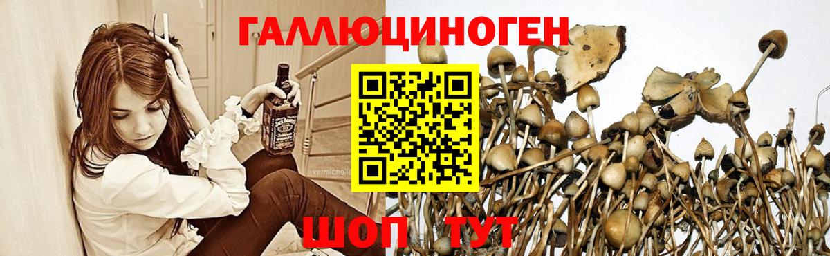 наркота  Галлюциногенные грибы ЛСД  Вход с VPN  Псилоцибиновые грибы ЛСД  Ессентуки 